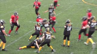 2016 Peewee Week 10 Playoffs Peewee Dawgs vs Ladysmith Steelers