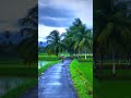 എന്റെ ഗ്രാമം my village ഇടവപ്പാതിമഴ like u0026 subscribe nostalgia viralvideo viral village