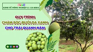 🔴 [Trực tiếp] Kinh tế nông nghiệp 11-12-2024|Thông tin hữu ích ||BPTV