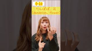 手話｢たんぽぽ、花｣🌼sign language “dandelion, flower”#shorts #手話 #signlanguage #たんぽぽ #タンポポ #花 #お花 #難聴者 #聴覚障害者