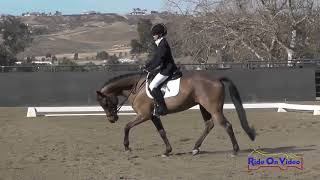 044D Meg Pellegrini on Ganymede Preliminary Rider Dressage Galway Downs February 2018