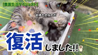 【12/20】農民復活しました👨‍🌾ﾔﾐｱｶﾞﾘ?!【農園生活ダイジェスト】