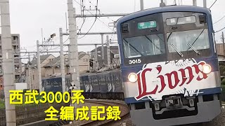 西武3000系 全編成