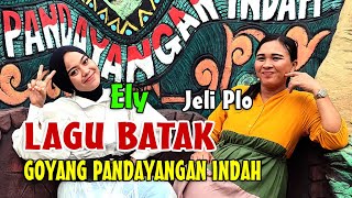 LIVE - FULL MUSIK LAGU BATAK GOYANG WISATA ALAM PANDAYANGAN INDAH