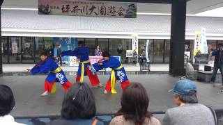 火の国YOSAKOI祭り2014～鹿児島志學館大学我流樂～城彩苑会場