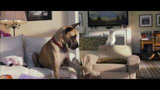 MARMADUKE TRAILER