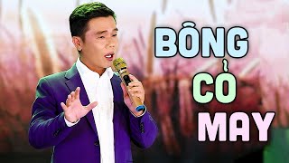 Bông Cỏ May, Nhận Diện Tình Đời - Nhạc Vàng Thời Chinh Chiến Chất Chứa Bao Nỗi Niềm