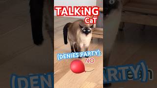 MERV DENiES THE PARTY, FULL VID ,, WHO WAS AT THIS PARTY ,, #classic #catsofyoutube #shorts #cats