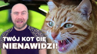 😼 10 rzeczy za które twój kot cię nienawidzi 🙀😻