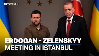 Ukrainian President Zelenskyy meets with Türkiye's Erdogan in Istanbul