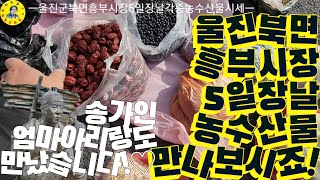 울진 흥부시장 5일장날 농수산물 시세, 어머님들 삶의 이야기 견문록♡삶1746/Uljin traditional market, korea