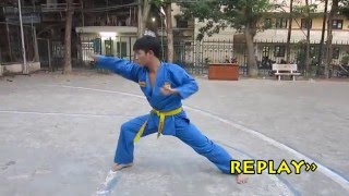 Long Hổ Quyền  - Vovinam Việt Võ Đạo