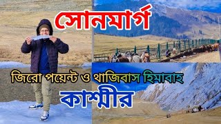 সোনমার্গ কাশ্মীর | Sonmarg Kashmir | Sonmarg Tourist Places | Kashmir Tour Guide | Kashmir Tour