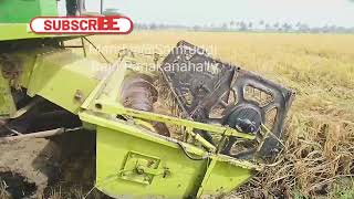 Methods of harvesting rice crop in different ways||ವಿವಿಧ ರೀತಿಯಲ್ಲಿ ಭತ್ತದ ಬೆಳೆಯ ಕಟಾವು ಮಾಡುವ ವಿಧಾನಗಳು|