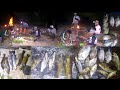 Berburu ikan yang keluyuran malam hari