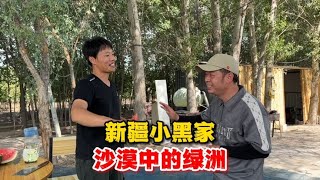 来到好兄弟新疆小黑家，真是沙漠中的绿洲，谁知家里养了好多动物【叉子闯四海】