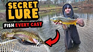 WINTER TROUT Techniques That Catch MORE Fish