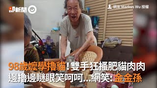 98歲阿嬤被收服～雙手狂搔肥貓肉肉，邊擼邊瞇眼笑呵呵XD｜金金孫｜療癒