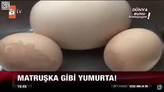 Dünya Bunu Konuşuyor ! Yumurta Yumurtladı   !