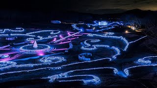 [4K]初開催! 宮城・国営みちのく杜の湖畔公園 クリスマスイルミネーション2017