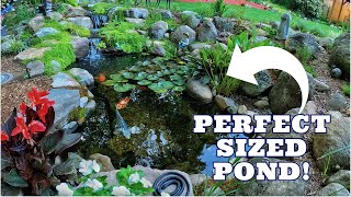 Small FISH POND and STREAM in backyard