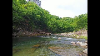 5月、新緑の安家川で渓流ルアー