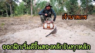 นกเขาใหญ่ต่อดิน(เจ้าบาสเกซ)...เริ่มดีขึ้นสองหลังขันทุกหลัก...