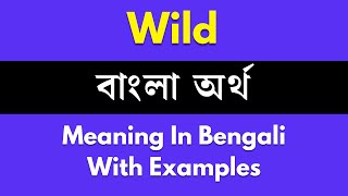 Wild Meaning in Bengali/ Wild শব্দের বাংলা ভাষায় অর্থ অথবা মানে কি