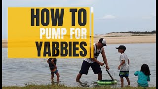 How to pump for yabbies [use as live bait]