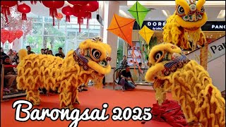 Barongsai show Living World Alam Sutera || Barongsai Kong Ha Hong || Barongsai 2025