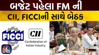 Budget 2025 India | બજેટ પહેલા FM ની CII, FICCIની સાથે બેઠક | Nirmala sitharaman | Budget 2025