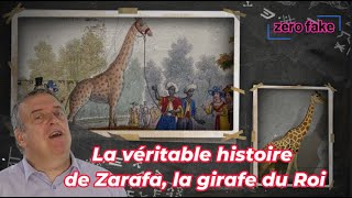 La véritable histoire de Zarafa, la girafe du Roi - zero fake 132 #girafe #histoire #anecdote