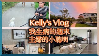 我生病的週末｜主婦的小聰明｜我的小農場 My sick weekend Vlog #78