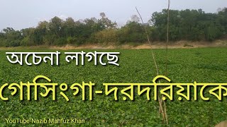 গোসিংগা-দরদরিয়ার ঘাট। Gosinga-Dordoria Ghat