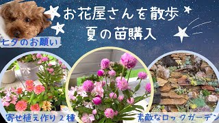 【夏のお花購入🌼7月のガーデニング】寄せ植え２種類🌷短冊に願いを🎋お花屋さんの植栽🪨✨