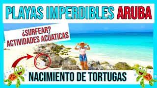 🏖️🌊🌴 MEJORES PLAYAS de ARUBA (la más BONITA) 🏖️🌊🌴