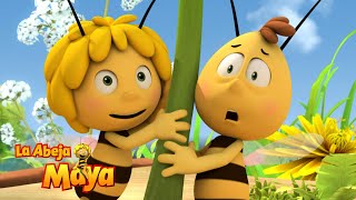 El Poder Del Polvo 💨 - Capítulos completos - La Abeja Maya