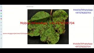 Cotton Leaf Disease Identification Using Image Processing Python Project With Source Code