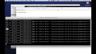 Nginx and Docker