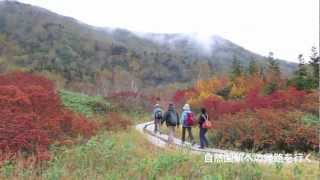 紅葉の栂池自然園　信州の旅.com