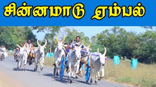 சின்னமாடு பந்தயம் ஏம்பல் 10/02/2020 China madu Embal