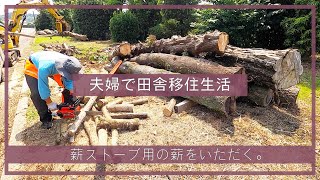 【夫婦で田舎移住生活】薪ストーブ用の薪をいただく。| 田舎暮らしDIY | 空き家セルフリノベーション | 田舎移住生活 | 宮崎 | えびの