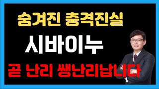 [시바이누] 숨겨진 충격적인 진실 이거 모르면 또 당합니다 곧 난리 난리 쌩난리 납니다 #시바이누 #SHIB #시바이누분석 #시바이누심훈 #심훈