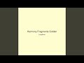 Harmony Fragments Golden