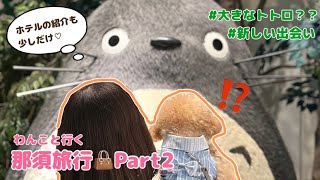 【愛犬と旅行】わんこと楽しむ那須旅行！Part2【2泊3日】