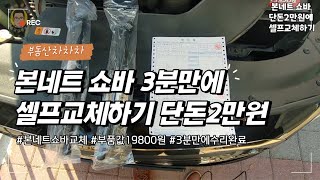 본네트 쇼바 3분만에 셀프교체 단돈2만원!!!!!