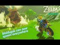 This BotW Randomizer is PAIN