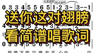 二、送你这对翅膀-看简谱唱歌词，“送给你这对眼睛，学看世上的美事”