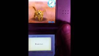 Nintendogs Guide: Part 1 Naming