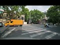 shanghai china i streets under the sycamore tree in early summer i 4k